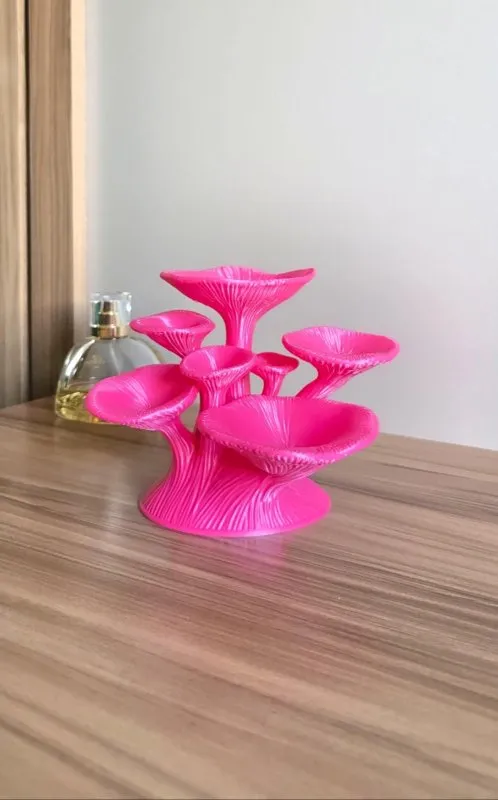 Porta-Joias Decorativo em Formato Orgânico