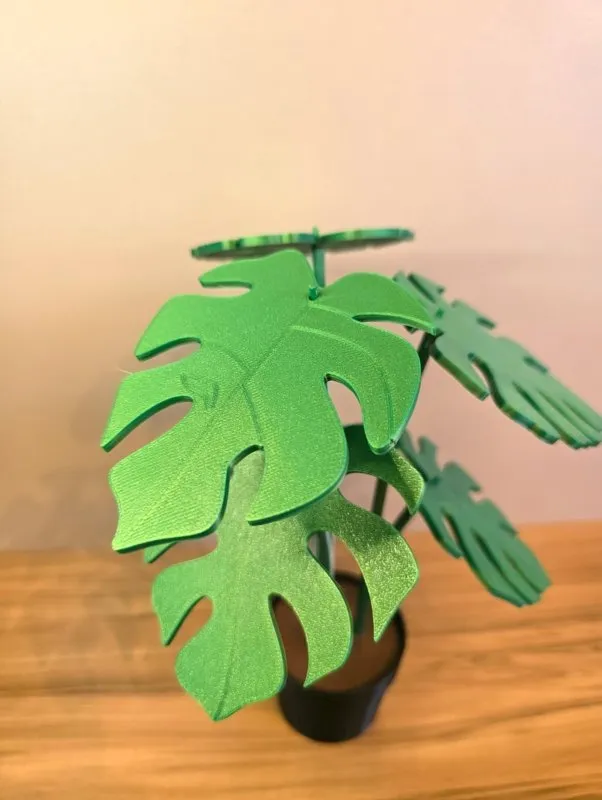 Descanso de Copo Planta Monstera com 6 Folhas – Impressão 3D | Decorativo e Funcional