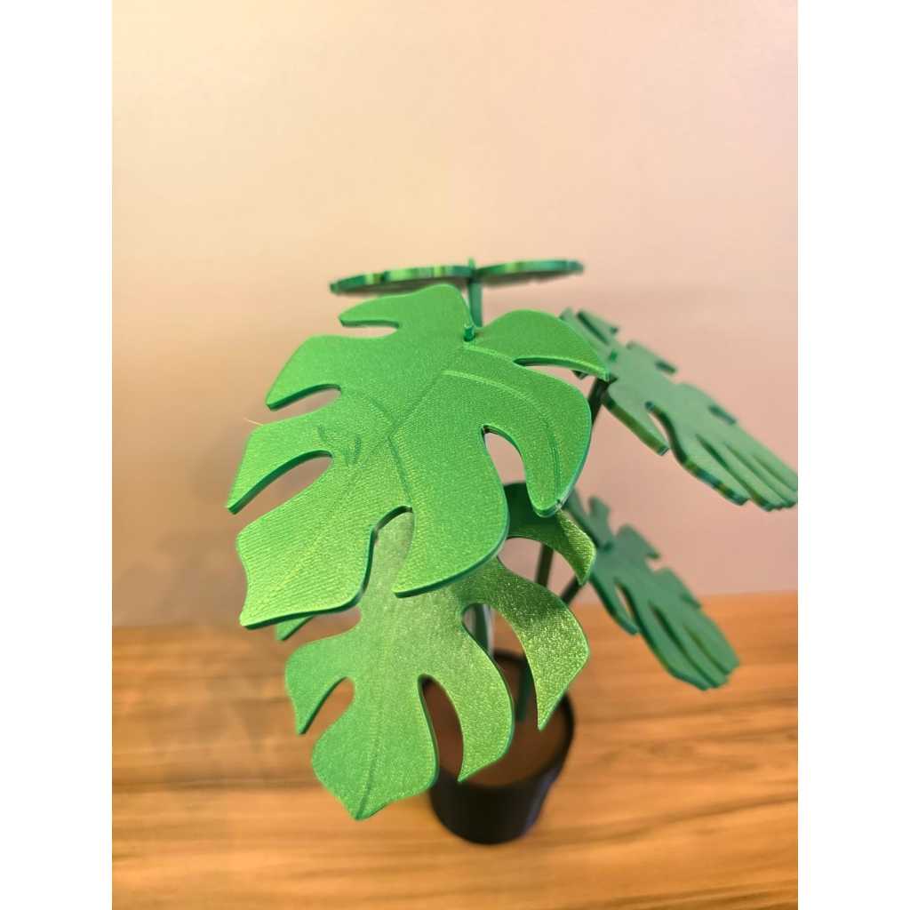 Descanso de Copo Monstera com 6 Folhas Decorativo Funcional em Impressão 3D