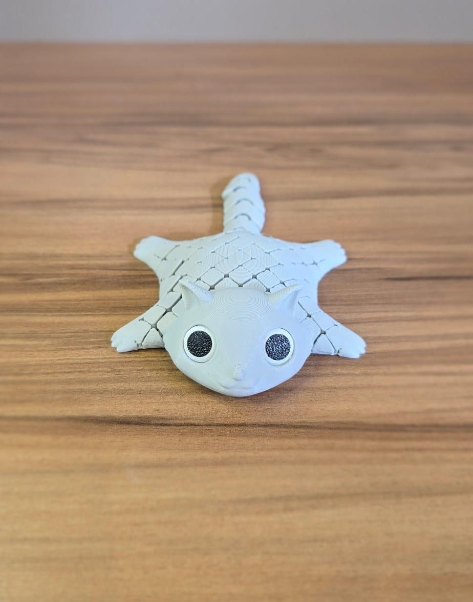 Esquilo Voador Articulado Flexível Impressão 3D Fidget Toy Anti Stress Decoração Mesa